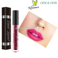 OEM Factory Wholesale Price CY003 Ultra Matte Waterproof Kissproof Long Lasting 18 Hours Color Liquid lipstick