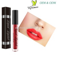 OEM Factory Wholesale Price CY007 Ultra Matte Waterproof Kissproof Long Lasting 18 Hours Color Liquid lipstick